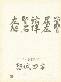 左肾输尿管上段结石伴左肾积水