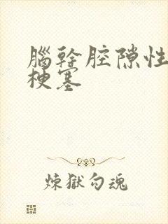 脑干腔隙性脑有梗塞