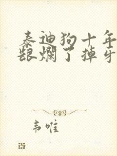 泰迪狗十年了牙龈烂了掉牙