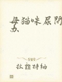 母猫咪尿闭怎么办