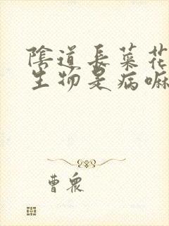 阴道长菜花状赘生物是病嘛