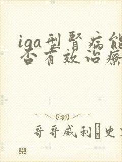 iga型肾病能否有效治疗