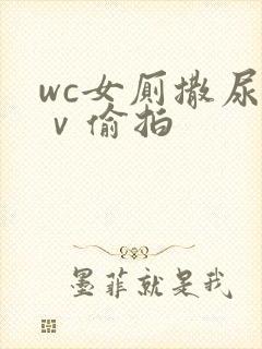 wc女厕撒尿七ⅴ偷拍