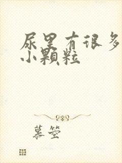 尿里有很多透明小颗粒