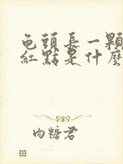 龟头长一颗颗小红点是什么原因痒