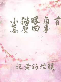 小猫眼角有眼屎怎么回事