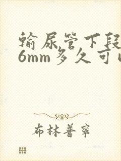 输尿管下段结石6mm多久可以排出