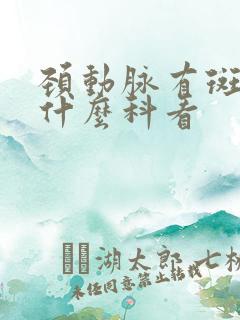 颈动脉有斑块挂什么科看