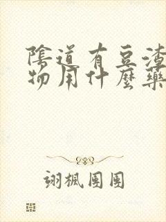 阴道有豆渣分泌物用什么药