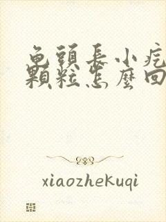 龟头长小疙瘩小颗粒怎么回事