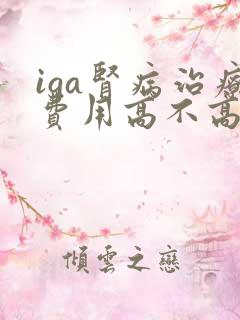 iga肾病治疗费用高不高