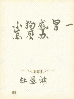 小狗感冒一直吐怎么办