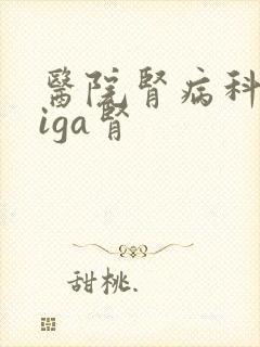 医院肾病科治疗iga肾