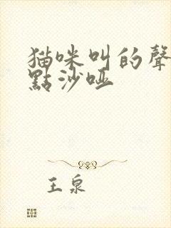 猫咪叫的声音有点沙哑