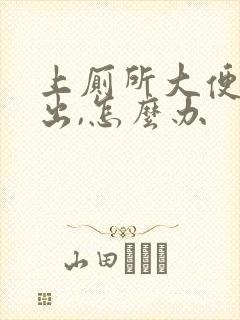 上厕所大便拉不出,怎么办