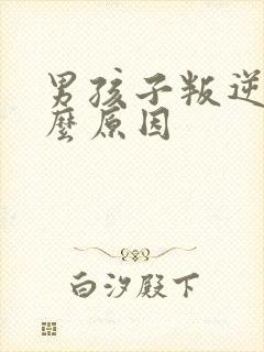 男孩子叛逆是什么原因