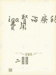 iga肾治疗的费用