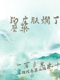 狗皮肤烂了用什么药