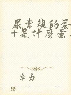 尿常规的蛋白1+是什么意思