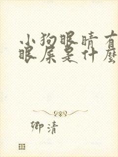 小狗眼睛有脓性眼屎是什么原因