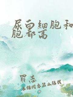 尿白细胞和红细胞都高