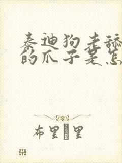 泰迪狗老舔自己的爪子是怎么回事