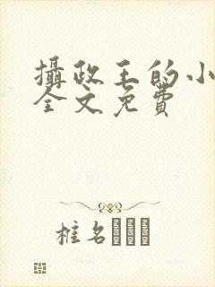 摄政王的小毒妃全文免费