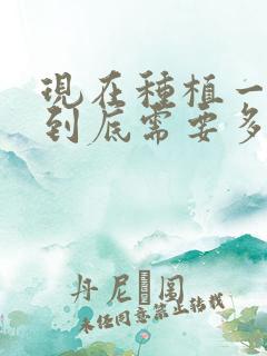 现在种植一颗牙到底需要多少钱