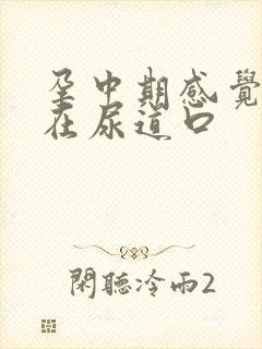 孕中期感觉胎动在尿道口