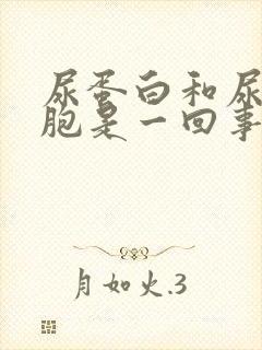 尿蛋白和尿白细胞是一回事吗