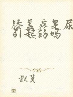 膝盖疼是尿酸高引起的吗