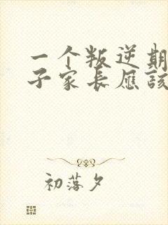 一个叛逆期的孩子家长应该怎么去引导孩子