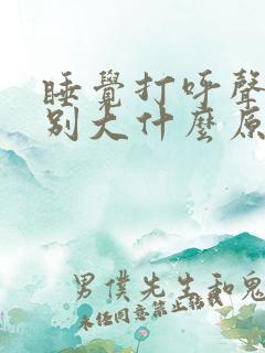 睡觉打呼声音特别大什么原因