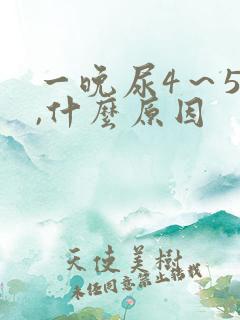 一晚尿4～5次,什么原因