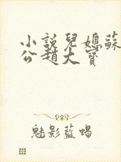 小说儿媳苏媚公公赵大宝