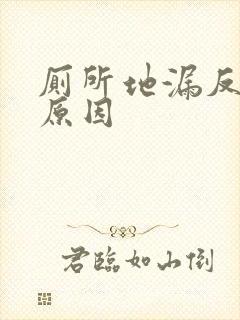 厕所地漏反臭味原因