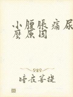 小腹胀痛尿频什么原因