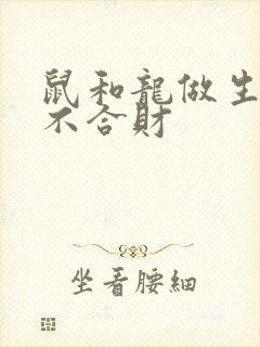 鼠和龙做生意合不合财