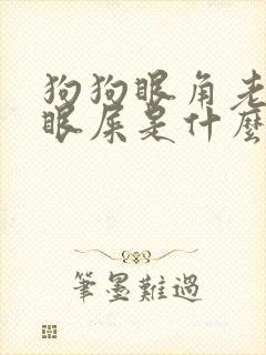 狗狗眼角老是有眼屎是什么原因