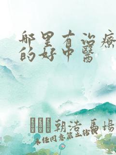 哪里有治疗肾病的好中医