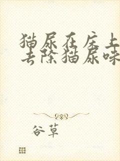 猫尿在床上怎么去除猫尿味