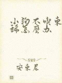 小狗不吃东西拉稀怎么办