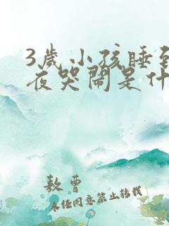 3岁小孩睡到半夜哭闹是什么原因