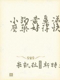 小狗黄鼻涕吃什么药好得快