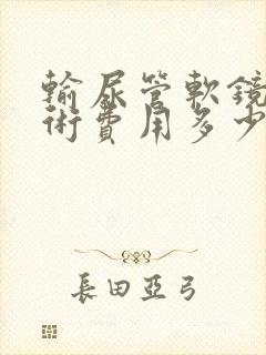 输尿管软镜碎石术费用多少