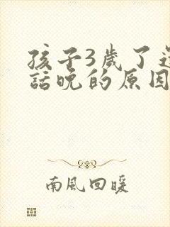 孩子3岁了还说话晚的原因