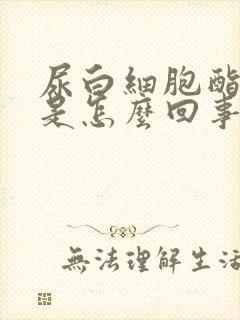 尿白细胞酯酶高是怎么回事