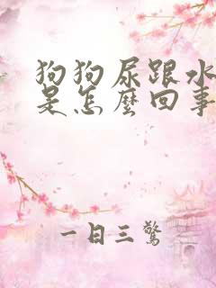 狗狗尿跟水一样是怎么回事