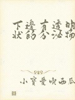 下边有透明果冻状的分泌物