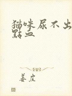 猫咪尿不出来有点血